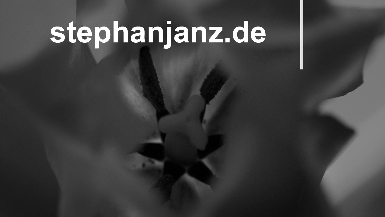 (c) Stephanjanz.de